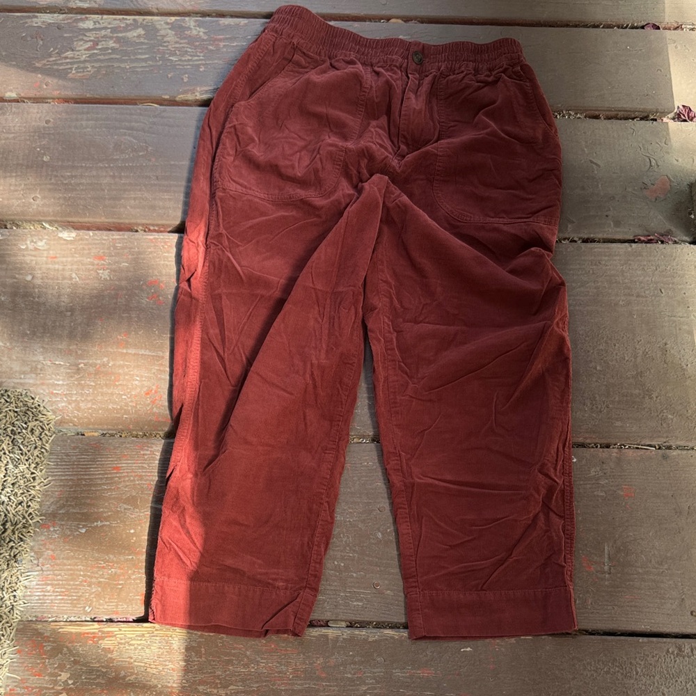 Madewell Men's Corduroy Pants in Deep Rust